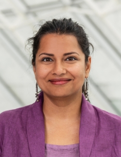 Manali Kumar